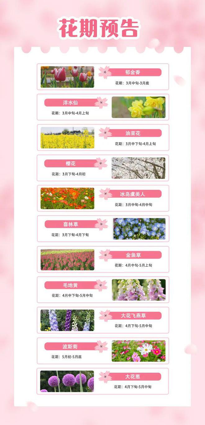 春日浪漫天花板！送上2025年赏花指南！(图1)